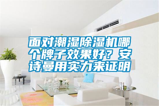 面對潮濕除濕機哪個牌子效果好?安詩曼用實力來證明