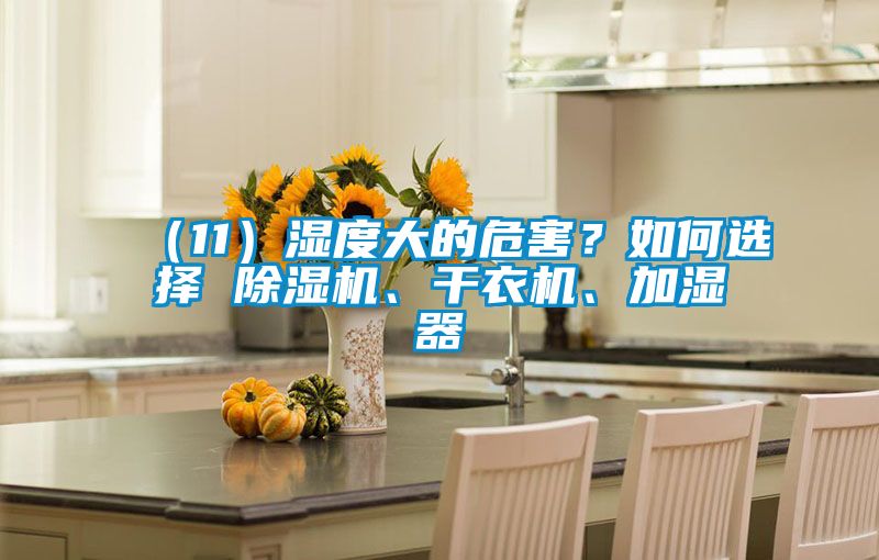 （11）濕度大的危害？如何選擇 除濕機、干衣機、加濕器