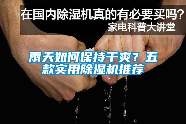 雨天如何保持干爽?五款實用除濕機推薦