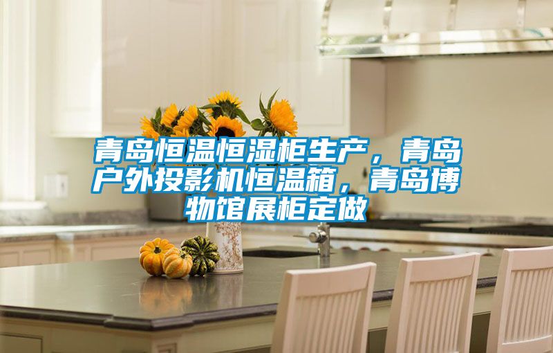 青島恒溫恒濕柜生產,青島戶外投影機恒溫箱,青島博物館展柜定做
