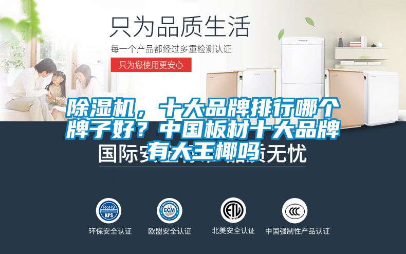 除濕機，十大品牌排行哪個牌子好？中國板材十大品牌有大王椰嗎