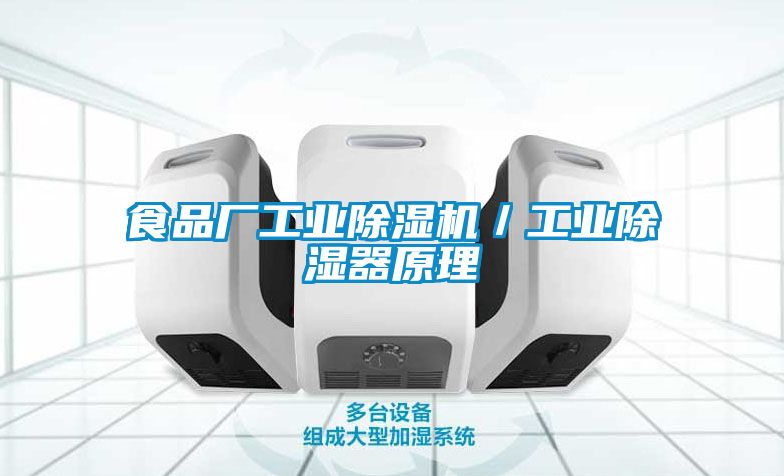 食品廠工業除濕機／工業除濕器原理