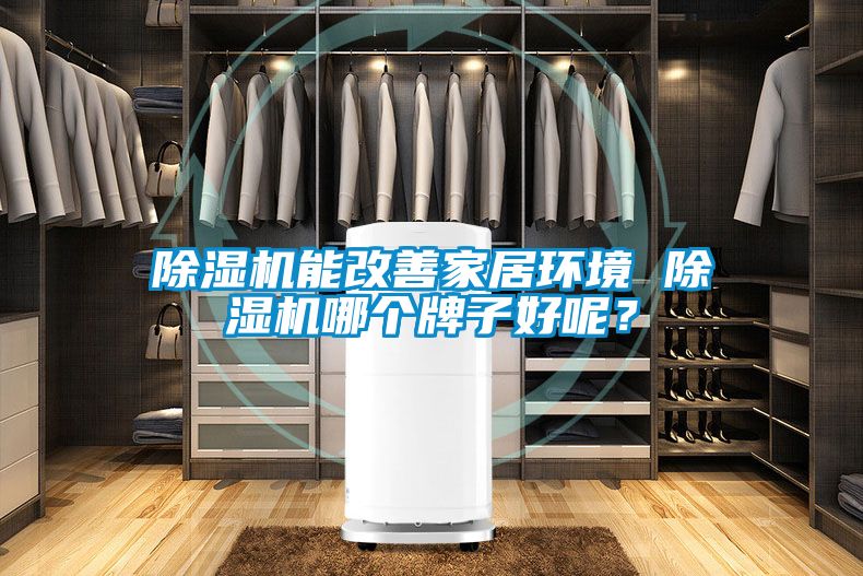 除濕機(jī)能改善家居環(huán)境 除濕機(jī)哪個(gè)牌子好呢？