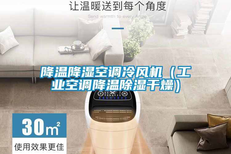 降溫降濕空調冷風機(工業(yè)空調降溫除濕干燥)