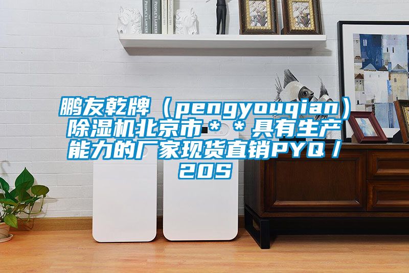 鵬友乾牌(pengyouqian)除濕機北京市**具有生產能力的廠家現(xiàn)貨直銷PYQ/20S