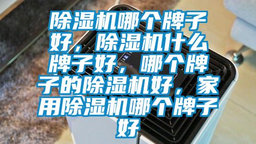 除濕機哪個牌子好，除濕機什么牌子好，哪個牌子的除濕機好，家用除濕機哪個牌子好