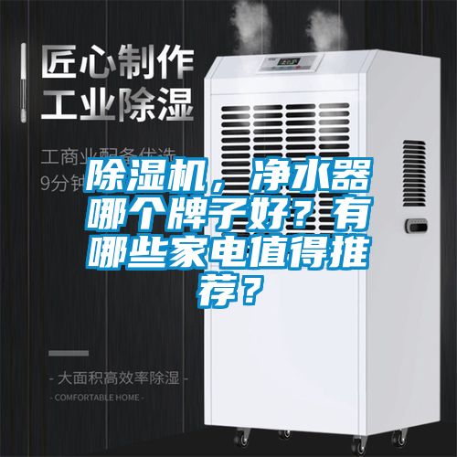 除濕機(jī)，凈水器哪個(gè)牌子好？有哪些家電值得推薦？