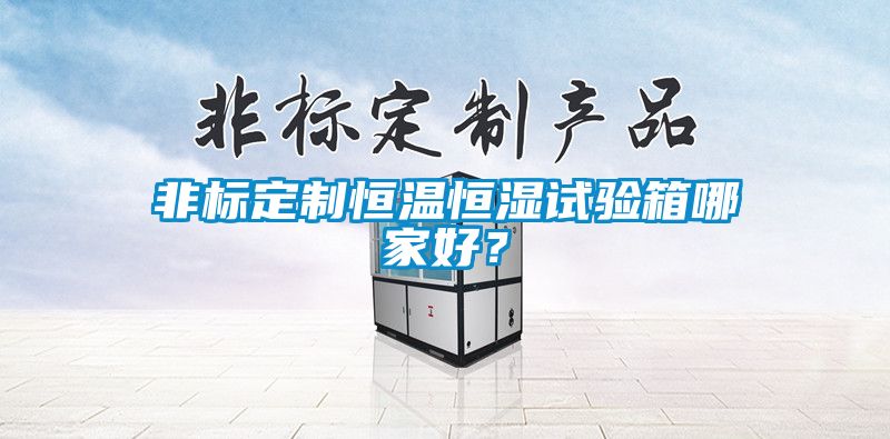 非標(biāo)定制恒溫恒濕試驗箱哪家好?