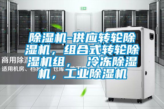 除濕機-供應(yīng)轉(zhuǎn)輪除濕機，組合式轉(zhuǎn)輪除濕機組， 冷凍除濕機，工業(yè)除濕機