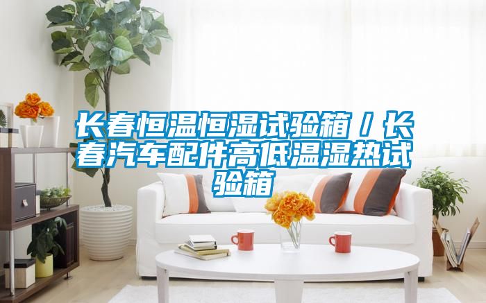 長春恒溫恒濕試驗箱/長春汽車配件高低溫濕熱試驗箱