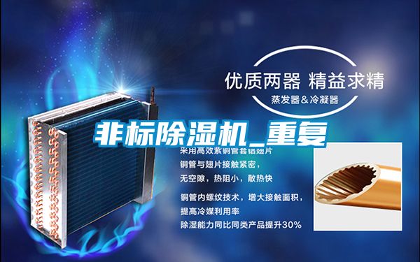 非標除濕機_重復