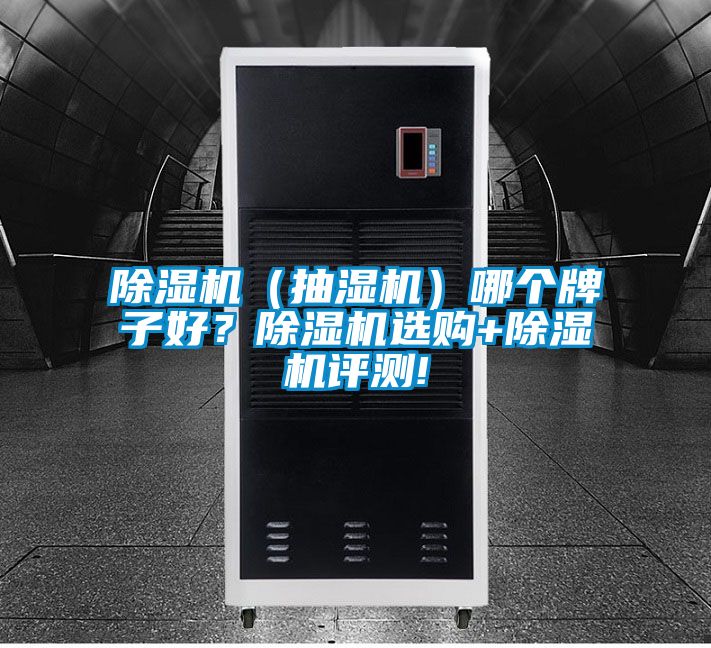 除濕機（抽濕機）哪個牌子好？除濕機選購+除濕機評測!