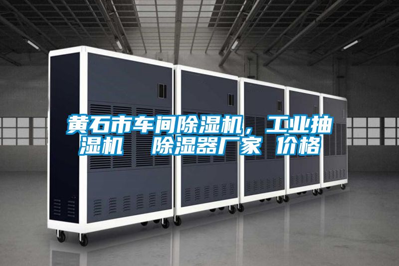 黃石市車間除濕機(jī)，工業(yè)抽濕機(jī)  除濕器廠家 價(jià)格