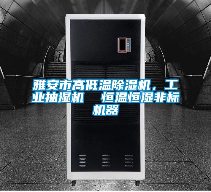雅安市高低溫除濕機,工業(yè)抽濕機 恒溫恒濕非標(biāo)機器