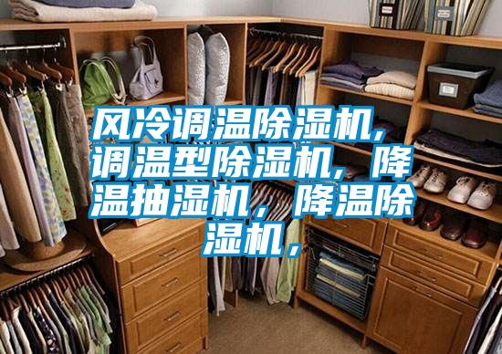 風(fēng)冷調(diào)溫除濕機(jī), 調(diào)溫型除濕機(jī), 降溫抽濕機(jī),降溫除濕機(jī),