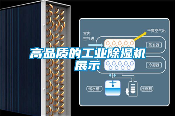 高品質的工業除濕機展示