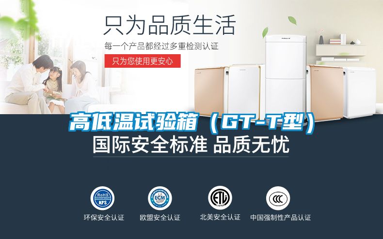 高低溫試驗箱(GT-T型)