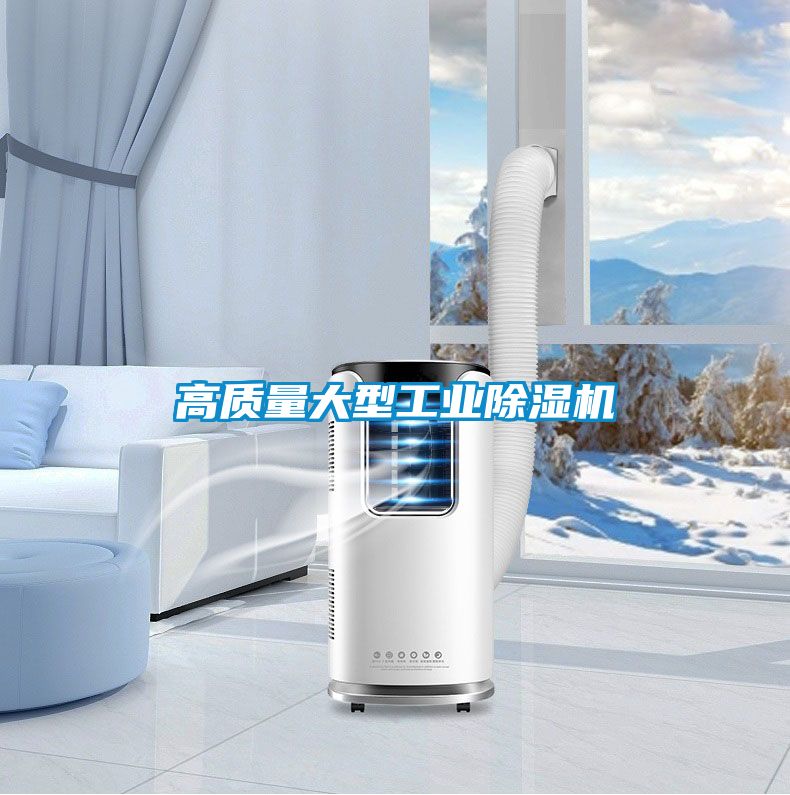 高質量大型工業(yè)除濕機