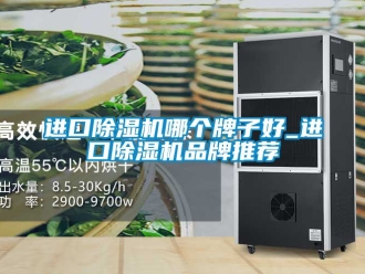 企業(yè)新聞進(jìn)口除濕機(jī)哪個(gè)牌子好_進(jìn)口除濕機(jī)品牌推薦