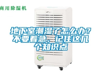 企業新聞地下室潮濕了怎么辦？不要著急，記住這幾個知識點