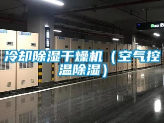 行業(yè)新聞冷卻除濕干燥機(jī)（空氣控溫除濕）