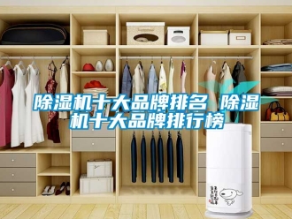 企業新聞除濕機十大品牌排名 除濕機十大品牌排行榜