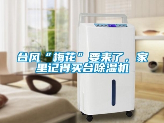 行業新聞臺風“梅花”要來了，家里記得買臺除濕機