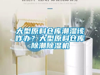 企業(yè)新聞大型原料倉庫潮濕該咋辦？大型原料倉庫除潮除濕機