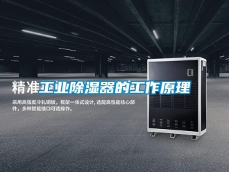 行業(yè)新聞工業(yè)除濕器的工作原理