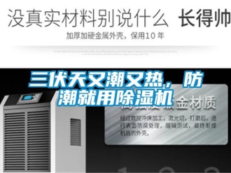 行業新聞三伏天又潮又熱，防潮就用除濕機