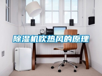 企業(yè)新聞除濕機(jī)吹熱風(fēng)的原理