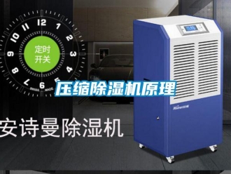 行業(yè)新聞壓縮除濕機原理