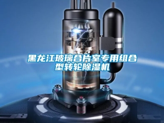 常見問題黑龍江玻璃合片室專用組合型轉輪除濕機