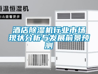 行業(yè)新聞酒店除濕機(jī)行業(yè)市場現(xiàn)狀分析與發(fā)展前景預(yù)測