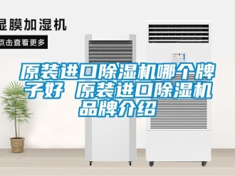 企業(yè)新聞原裝進口除濕機哪個牌子好 原裝進口除濕機品牌介紹