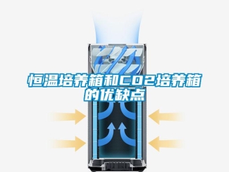 知識(shí)百科恒溫培養(yǎng)箱和CO2培養(yǎng)箱的優(yōu)缺點(diǎn)