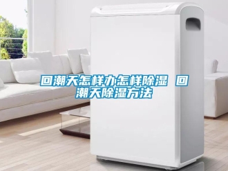 企業(yè)新聞回潮天怎樣辦怎樣除濕 回潮天除濕方法