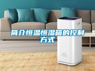 知識(shí)百科簡(jiǎn)介恒溫恒濕箱的控制方式