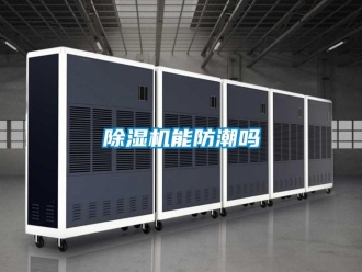 行業(yè)新聞除濕機能防潮嗎