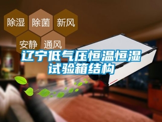 知識百科遼寧低氣壓恒溫恒濕試驗箱結構