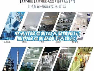 企業(yè)新聞電子式除濕機(jī)10大品牌排行(國(guó)內(nèi)除濕機(jī)品牌十大排名)