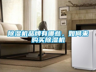 企業(yè)新聞除濕機(jī)品牌有哪些，如何來(lái)購(gòu)買除濕機(jī)