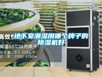 行業新聞地下室潮濕用哪個牌子的除濕機好