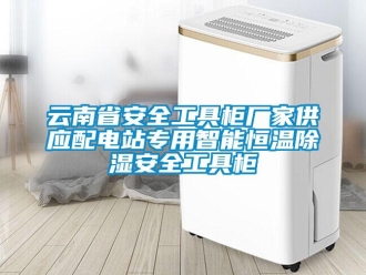 知識百科云南省安全工具柜廠家供應配電站專用智能恒溫除濕安全工具柜