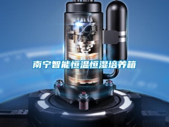 知識百科南寧智能恒溫恒濕培養箱