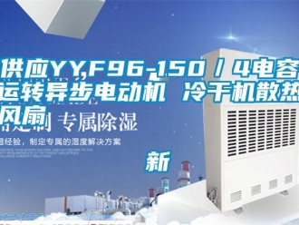 企業新聞供應YYF96-150／4電容運轉異步電動機 冷干機散熱風扇                                    新