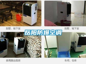 企業(yè)新聞岳陽防爆空調(diào)