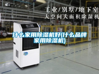 企業(yè)新聞什么家用除濕機(jī)好(什么品牌家用除濕機(jī))