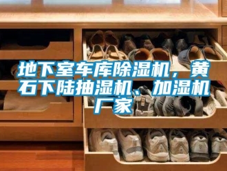 企業(yè)新聞地下室車庫(kù)除濕機(jī)，黃石下陸抽濕機(jī)、加濕機(jī)廠家