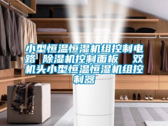 知識百科小型恒溫恒濕機(jī)組控制電路 除濕機(jī)控制面板  雙機(jī)頭小型恒溫恒濕機(jī)組控制器